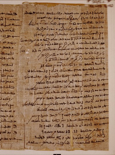 Papyrus démotique avec littérature de sagesse - Unbekannt Unbekannt